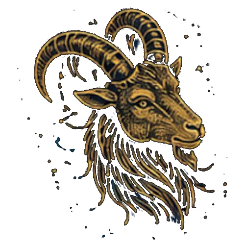 10capricorn2