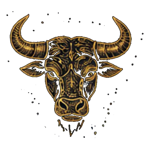 2taurus2